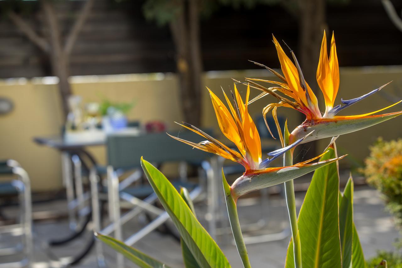 Ayia Napa Tropical Beach Villa Exteriér fotografie